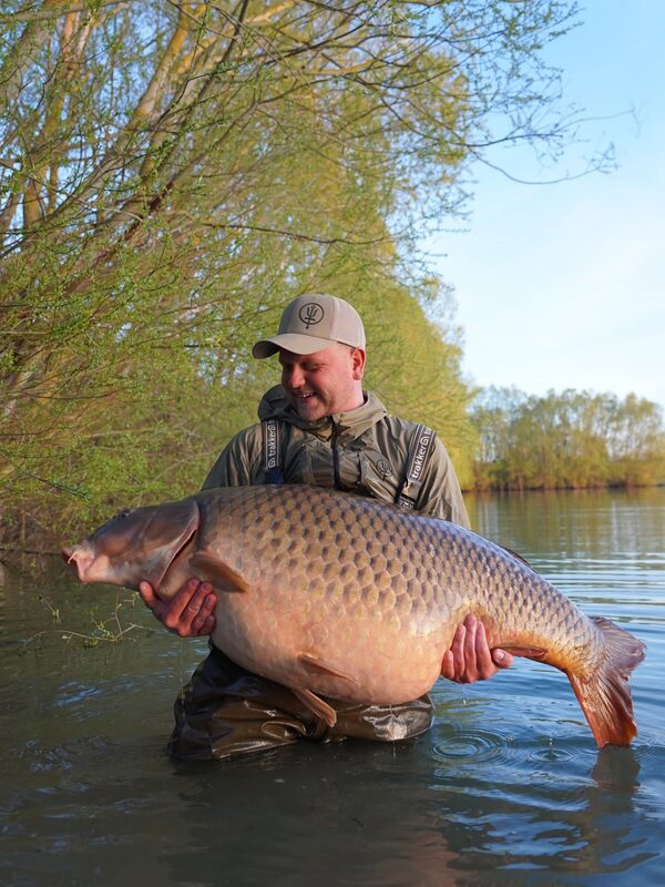 THE QUEEN — Schuppenkarpfen mit 37,5 kg