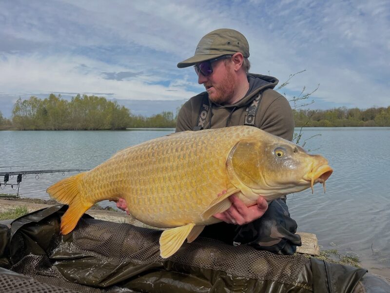 SAVANE — Ghostkarpfen mit 21 kg