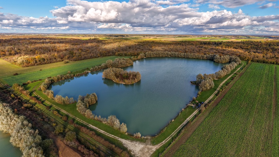 Eau claire du lac et plantes aquatiques